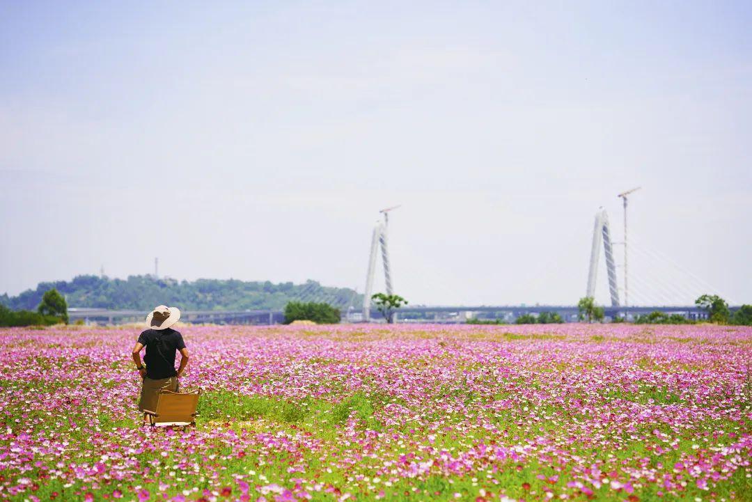 陳小北聚焦科技前沿，引領(lǐng)創(chuàng)新潮流新動態(tài)
