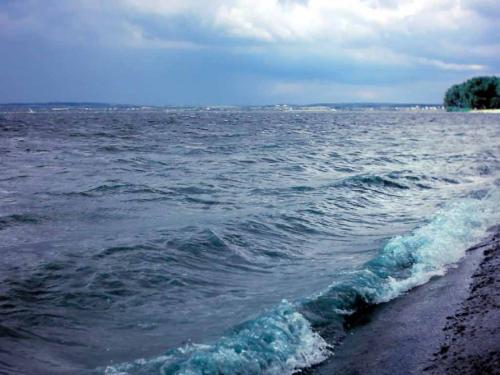 佳木斯新版，時代印記與變遷的見證者