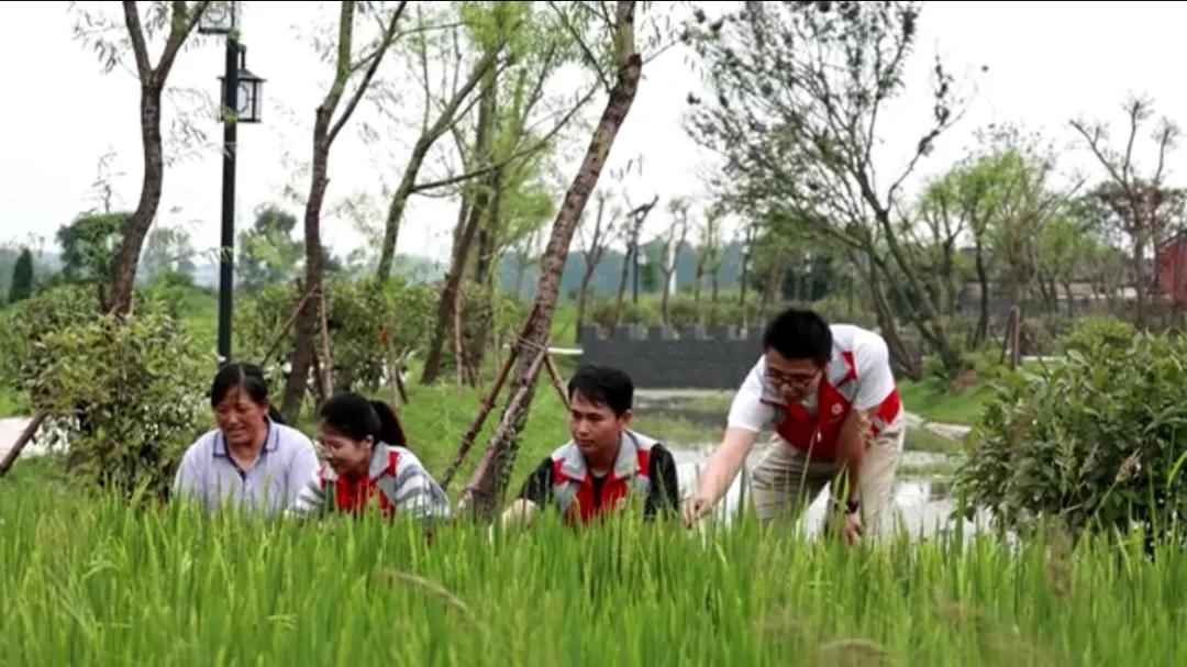 曲陽縣城最新招聘信息揭秘，小巷中的獨(dú)特小店等你來探索！