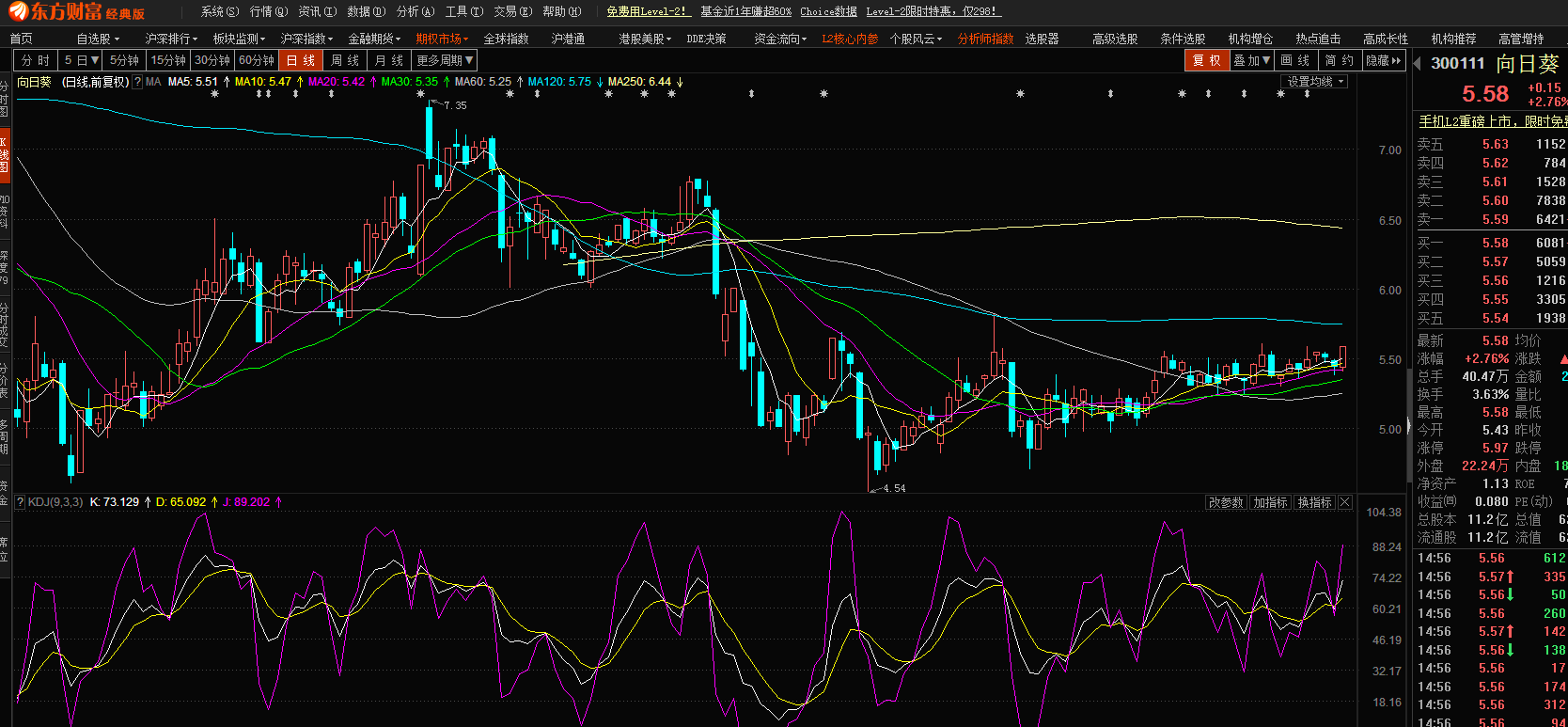 股市小天地，友情大天地——我與股票300141的日常故事分享
