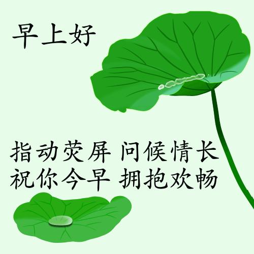 最新疫情動(dòng)態(tài)下的自然探索之旅，追尋內(nèi)心的平和與寧靜