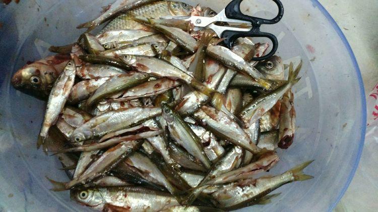 昆明最新野釣地點探索，重拾生活激情與自信的自然之旅