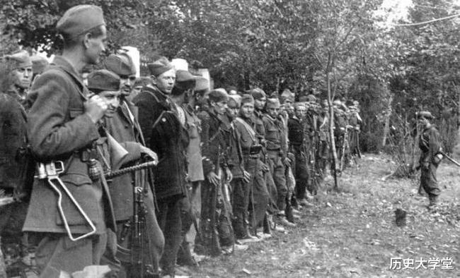 南斯拉夫電影二戰(zhàn)老片，自然美景背后的探索之旅