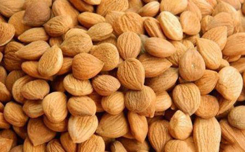 苦杏仁行情深度解析，背景、事件與地位探究