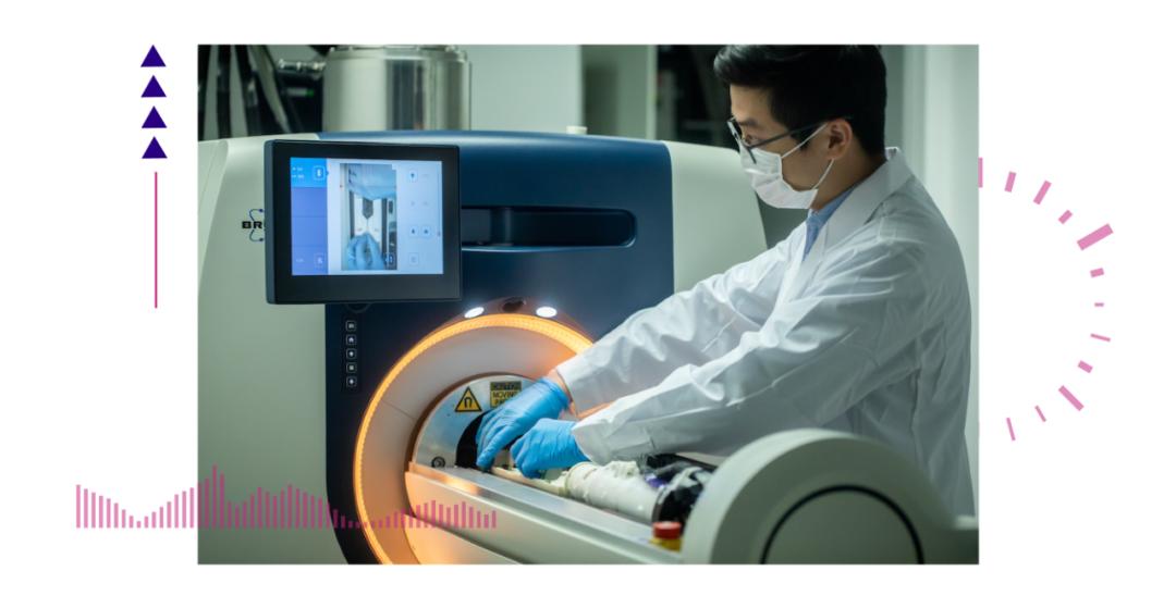 香港脊髓研究取得新進展，探索自然美景的心靈之旅新篇章