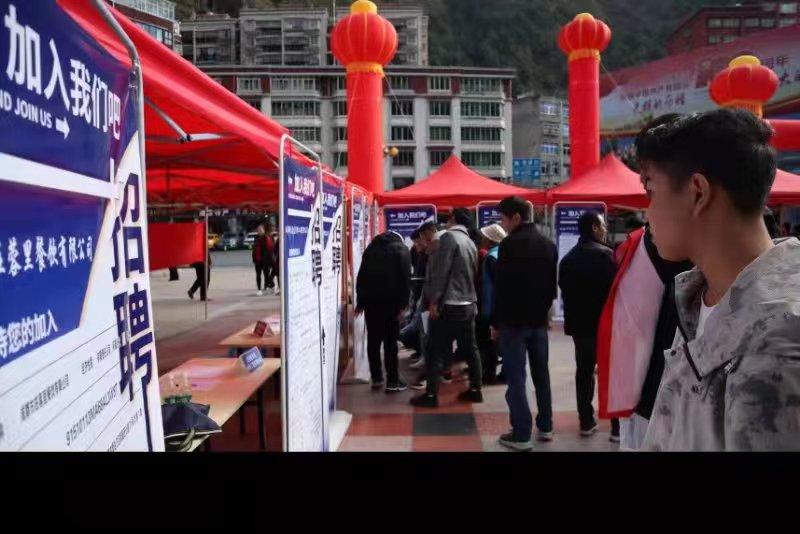 青白江招聘信息探索，小巷中的職業(yè)機遇