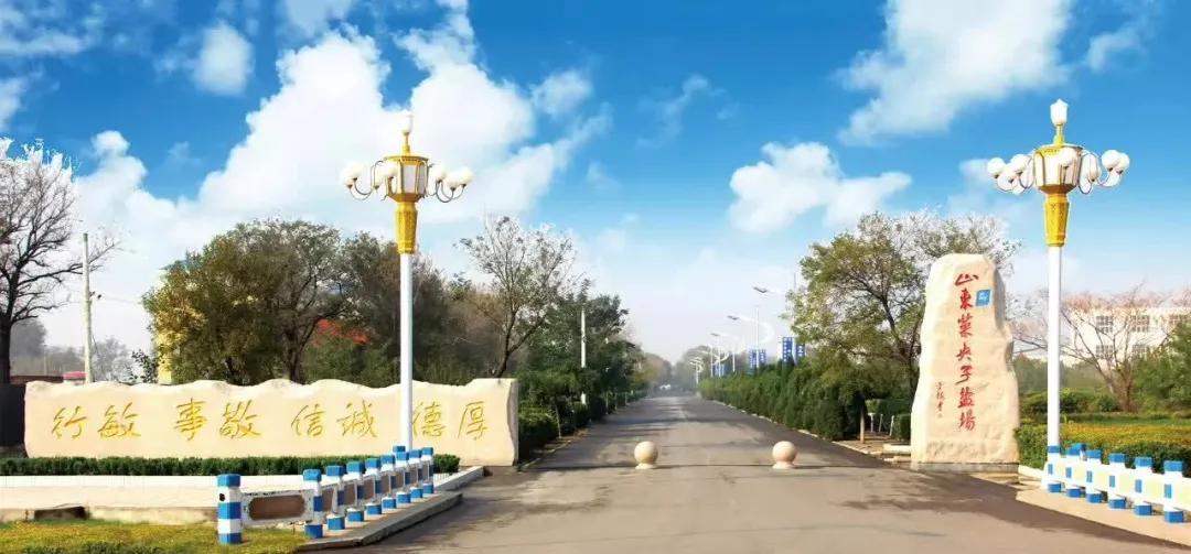 最新票據亂象調查步驟指南揭秘