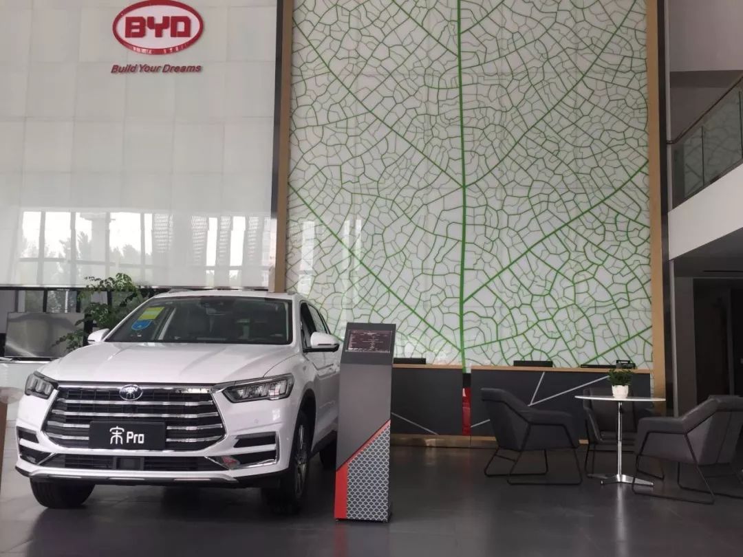 重磅更新，比亞迪最新招聘信息揭秘???