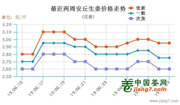 安丘大姜最新行情，機(jī)遇與自我超越的探尋之旅