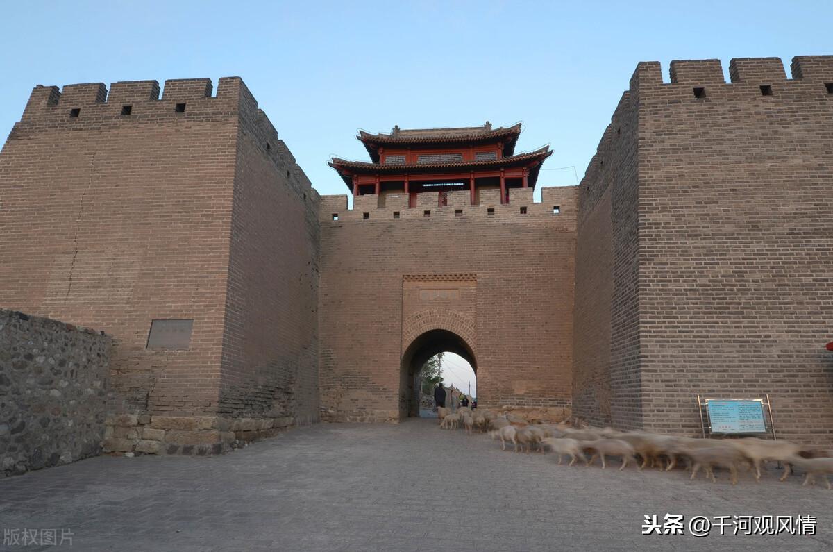 一夜談加急版最新熱點(diǎn)話題深度探討夜談紀(jì)實(shí)