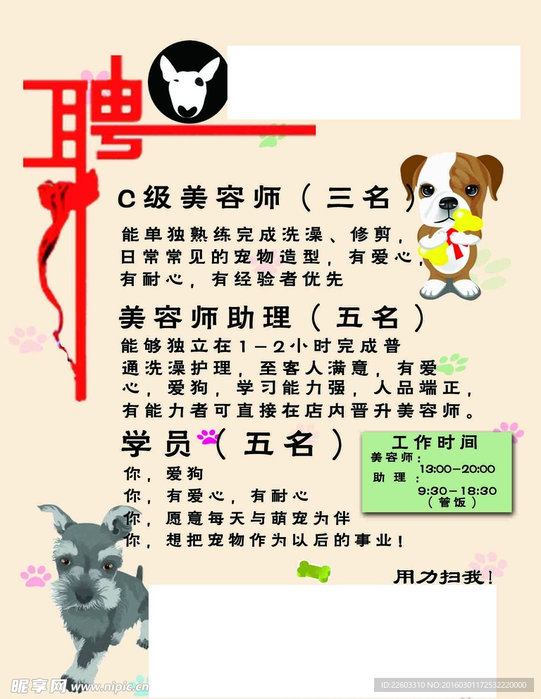 寵物店招聘最新動(dòng)態(tài)，共探自然之美，尋求內(nèi)心寧?kù)o