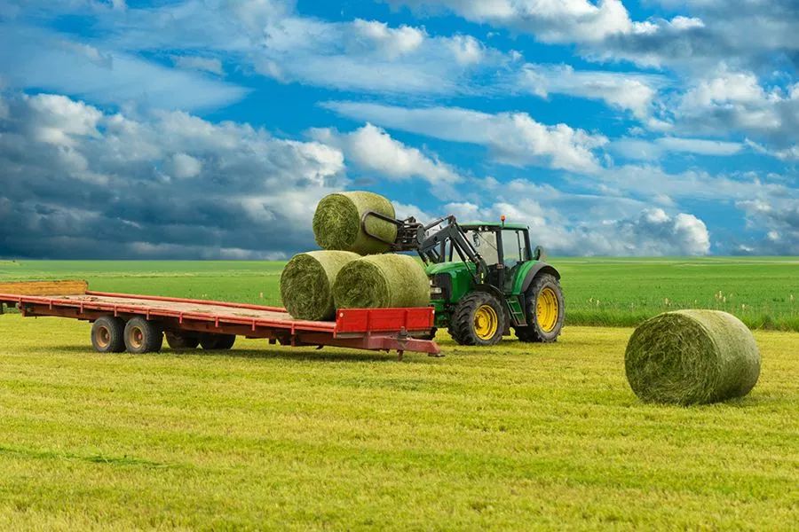 農(nóng)業(yè)最新動(dòng)態(tài)，時(shí)代的脈搏與綠色希望共舞