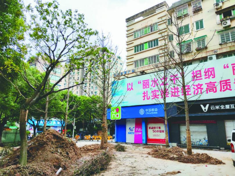 最新吊車網(wǎng)，自然美景之旅與內(nèi)心平靜的探尋