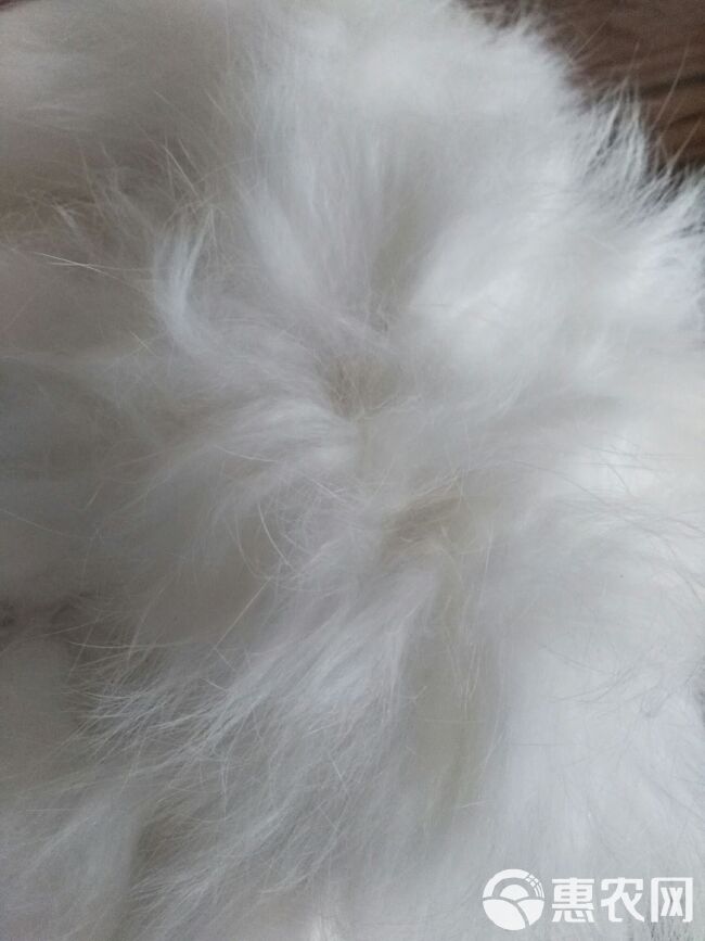 工程廠房燈具 第145頁