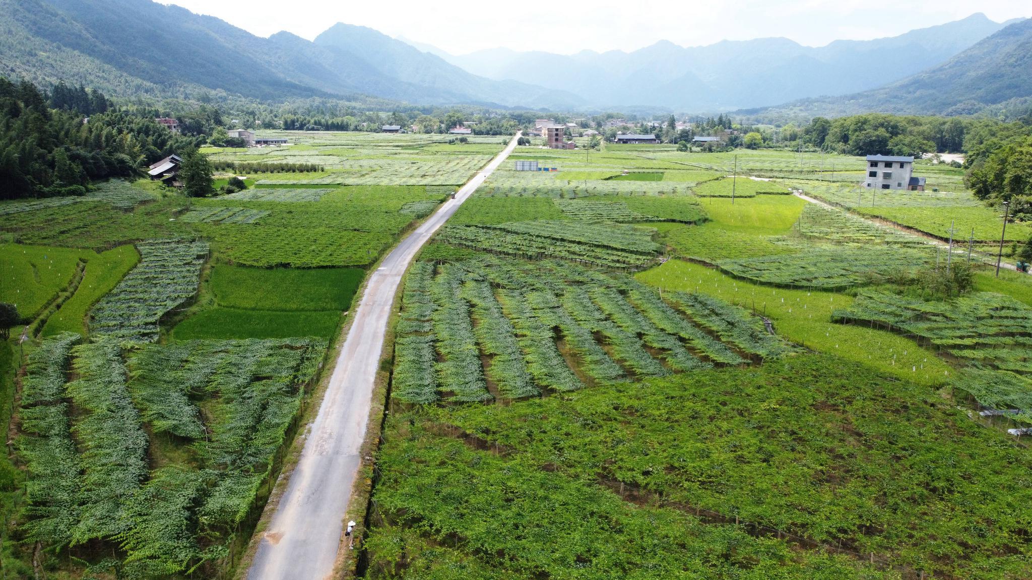 新文村，時(shí)代變遷下的文化繁榮與發(fā)展新篇章