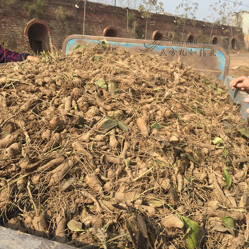 運(yùn)動(dòng)場(chǎng)館燈具 第140頁