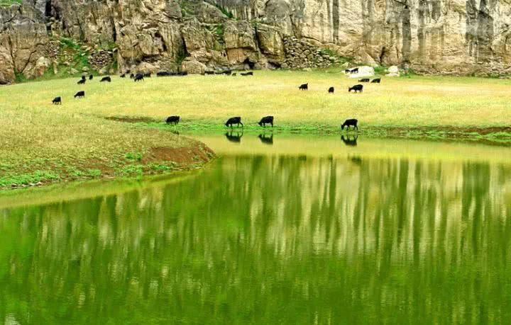 青草最新在線視頻，自然與科技融合之美展現(xiàn)的力量