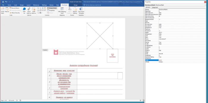 Flash Player官方最新版下載，探索小巷寶藏與特色小店的奇妙之旅