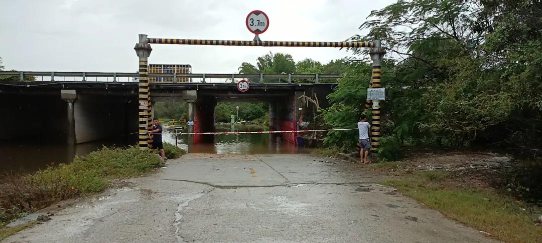 惠陽臺(tái)風(fēng)最新消息，小巷深處的風(fēng)味秘境