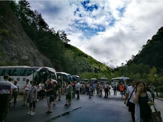 泰順高鐵最新動(dòng)態(tài)更新，最新消息一覽