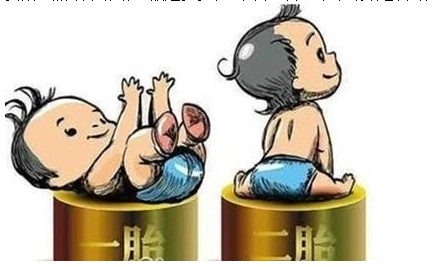 最新雙胞胎補(bǔ)助政策，攜手同行，助力孕育夢(mèng)想之路