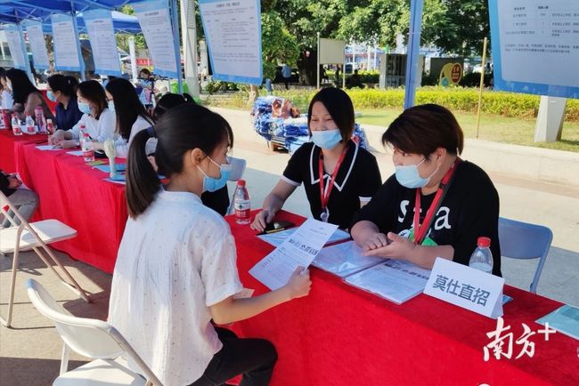 石碣最新招聘動(dòng)態(tài)，把握職業(yè)機(jī)遇，共創(chuàng)美好未來之路