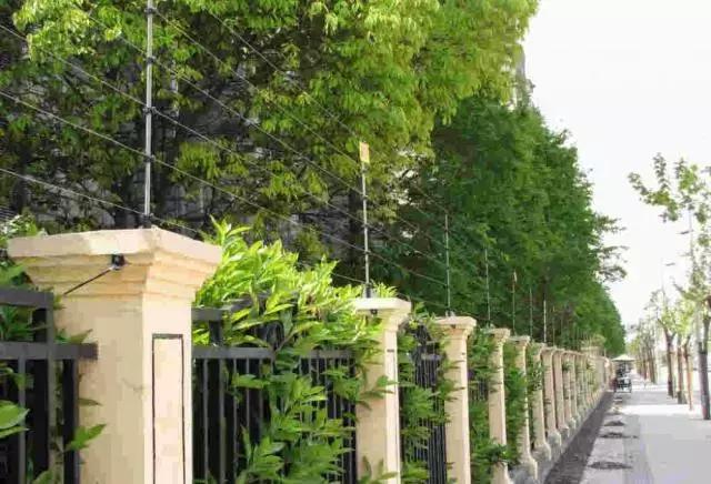 山河藥輔最新動(dòng)態(tài)，引領(lǐng)醫(yī)藥行業(yè)新篇章