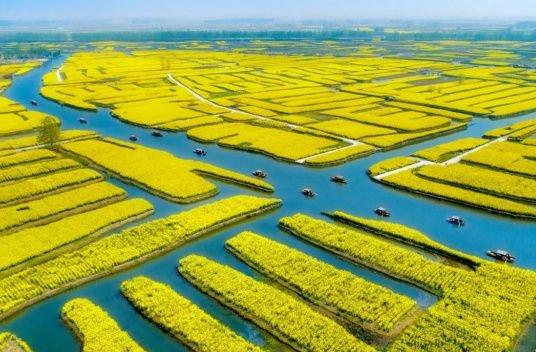 農(nóng)夫綜合最新動(dòng)態(tài)深度解析與我的觀點(diǎn)分享