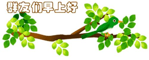 最新清晨祝福短信，晨曦中的溫暖問候，傳遞美好祝愿與關懷