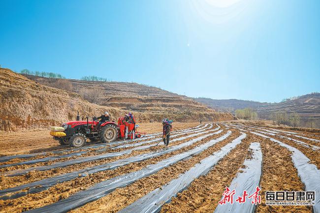 秦安最新新聞，城市溫情日常溫馨小事報道