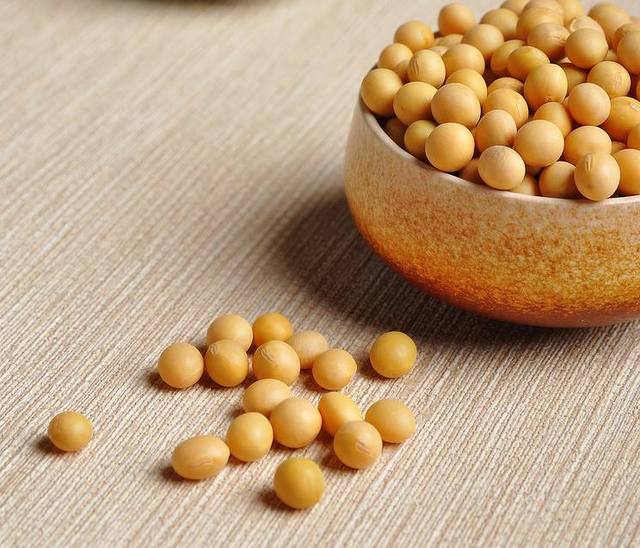 國產(chǎn)大豆最新價格，時代的變遷與影響