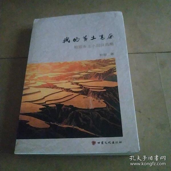 時(shí)代背景下的鄉(xiāng)土情懷與文學(xué)地位，最新鄉(xiāng)土小說探析