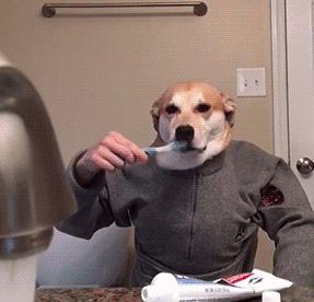 小巷獨特風(fēng)情小店的最新原創(chuàng)個性簽名