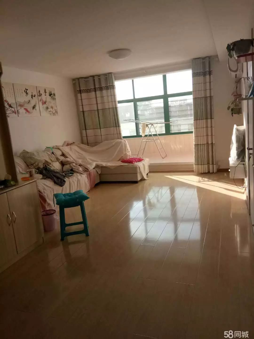 萊西最新個(gè)人租房，窗外世界與自我成長的旅程