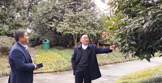 最新花木求購(gòu)，開(kāi)啟一場(chǎng)尋綠之旅的溫馨旅程