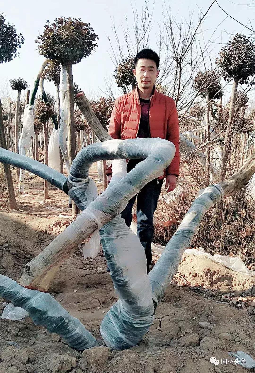 定州最新急招工，時代的呼喚與行業(yè)重塑的挑戰(zhàn)