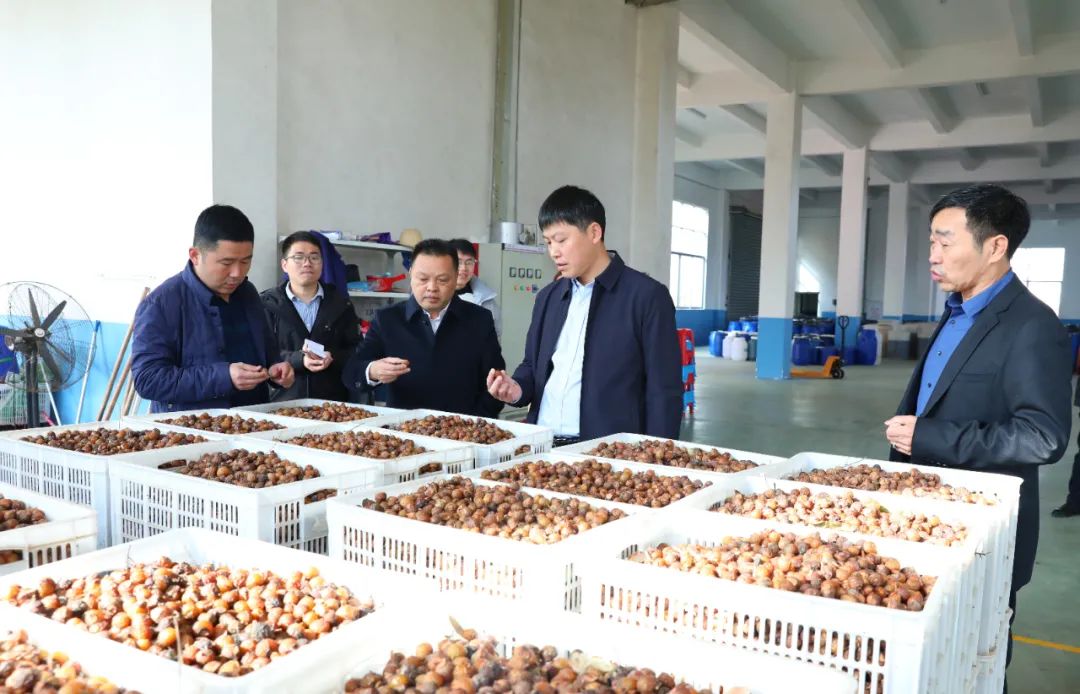 建寧最新新聞，城市溫馨日常與友情力量的展現(xiàn)