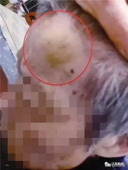 揪脖子最新視頻，探秘小巷風(fēng)情小店，獨家揭秘！