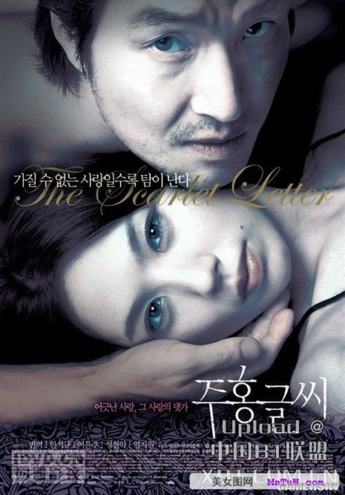 最新內(nèi)地倫理電影探索與啟示，揭示社會倫理的啟示與價值