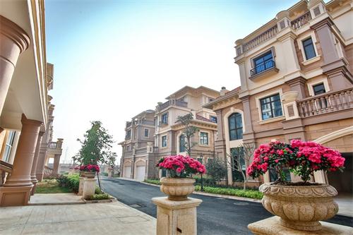 新泰最新樓盤，城市發(fā)展與居住品質的新篇章