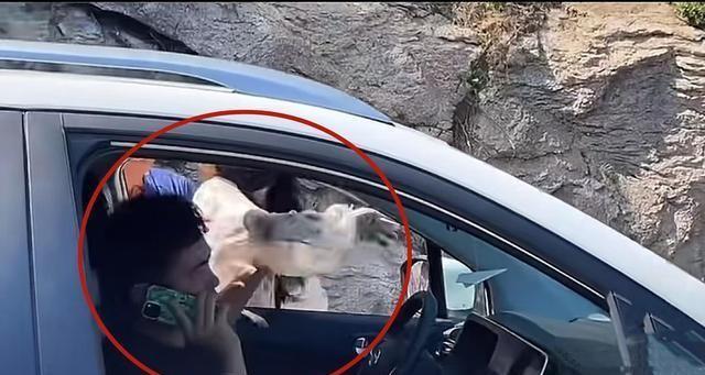 奔馳最新廣告，小明的溫情之旅啟程了