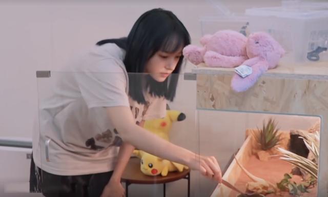 程瀟最新綜藝節(jié)目，心動瞬間，不容錯過！?