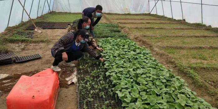 策勒最新招聘啟航人才新篇章，學(xué)習(xí)變化，擁抱自信與成就，啟程人生新征程！