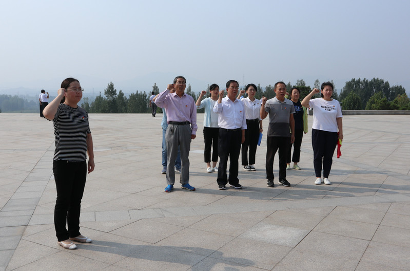 肥城房產(chǎn)最新動(dòng)態(tài)，市場(chǎng)走勢(shì)、熱門區(qū)域與案例分析