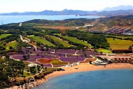 心悅海島探險攻略，最新任務(wù)指南與探險體驗