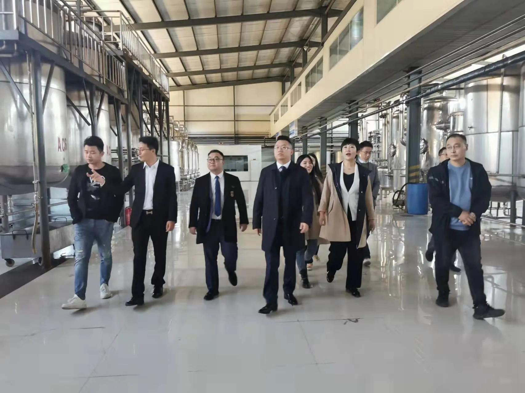 鼎恒升最新動(dòng)態(tài)，追溯特定領(lǐng)域的發(fā)展歷程與重要地位