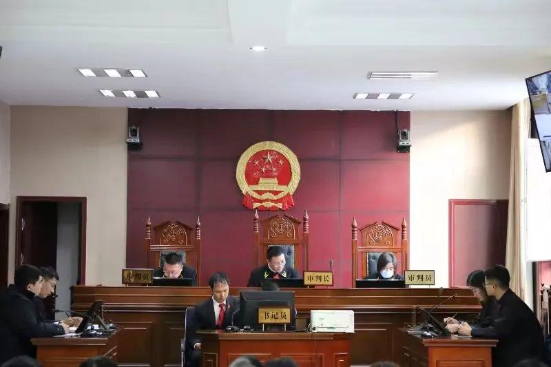 偏關最新案件深度解析，揭示真相，關注社會公正與公平