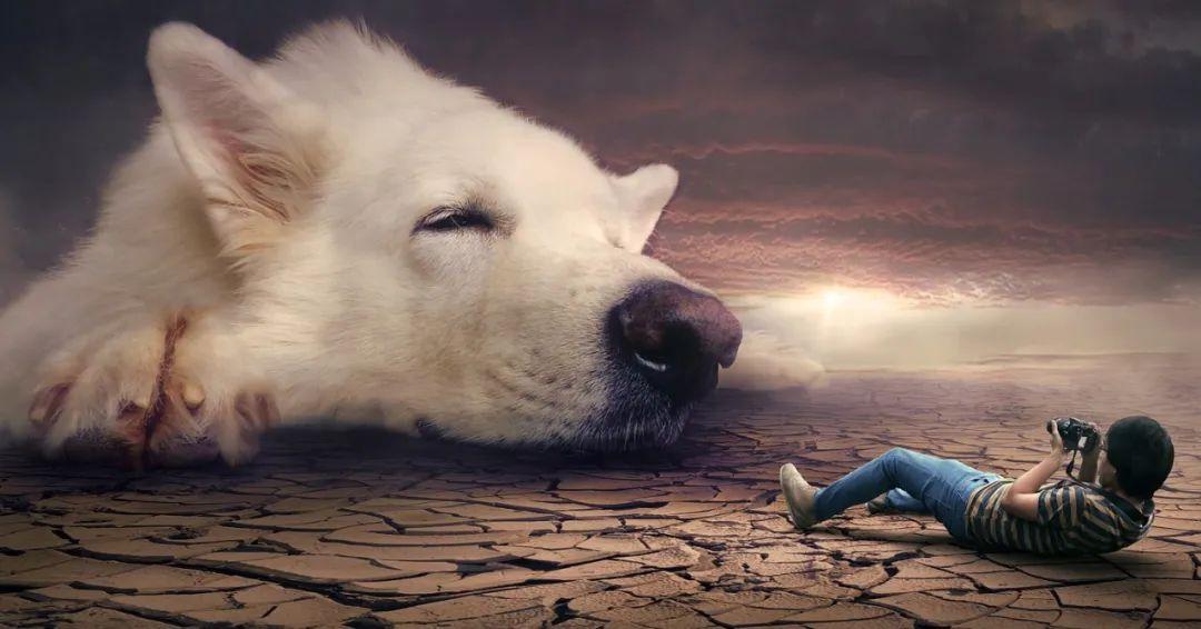 夢境最新研究揭秘，探索人類夢境的奧秘