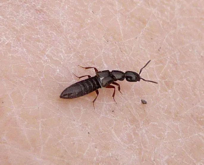 高效應(yīng)對問題關(guān)鍵策略，最新處理方法詳解