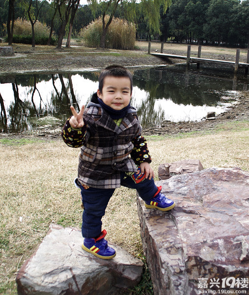 小六最新，時代背景下的重要印記與事件回顧